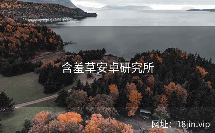 含羞草安卓研究所